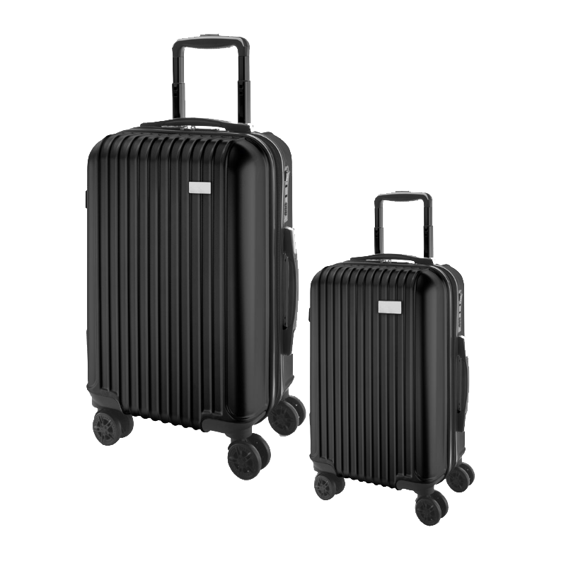 Set of 2 executive travel bags